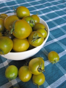 Abundance of Heirloom Cherry Tomatoes