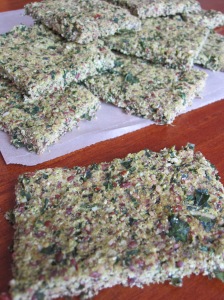 Cheesy Kale Crackers